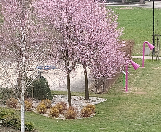 Plac zabaw