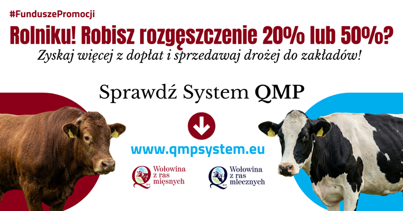 Grafika informacyjna dotycząca sytemu QMP